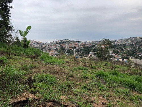 Imagem 3 de 16 de Terreno À Venda, 250 M² - Jardim Nossa Senhora Aparecida - Francisco Morato/sp - Te0034 - 67733520