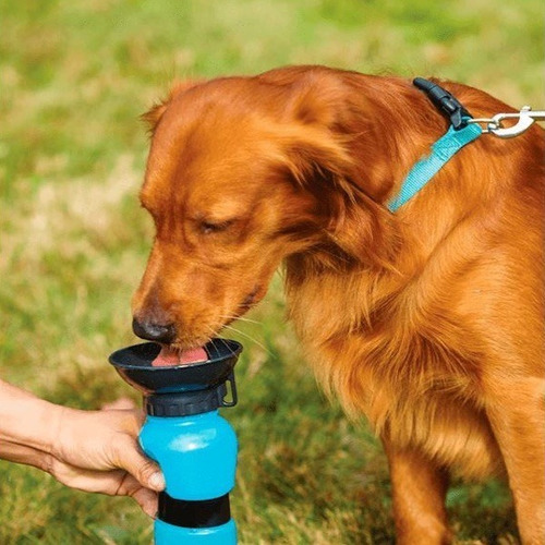 2 Botellas Dispensador De Agua Para Mascotas Viaje Paseos