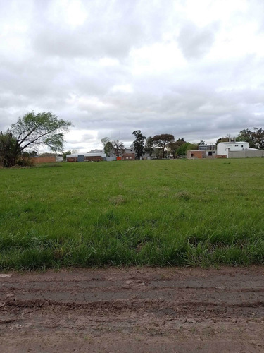 Imagen 7 de 9 de Lote En Venta- Importantes Medidas.