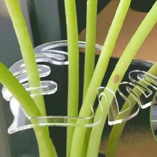 2 Soporte Acrílico Para Tallo De Planta, Reutilizable,