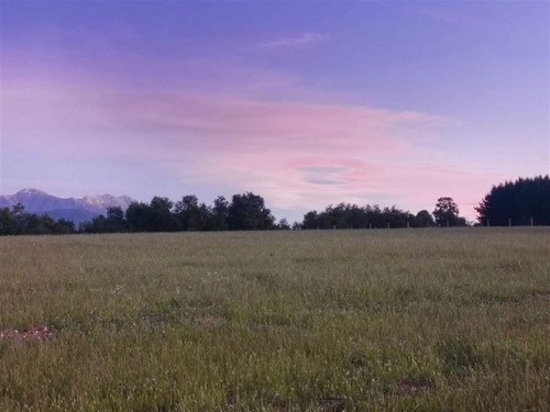 Parcelas Camino A San Fabián De Alico, Rol Propio, 5000m2