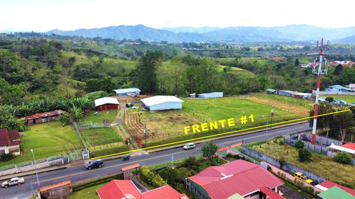 Finca En Mata De Plátano, Goicoecha, El Maná