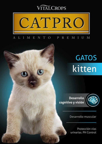 Alimento Kitten X 1 Kg Premium Natural