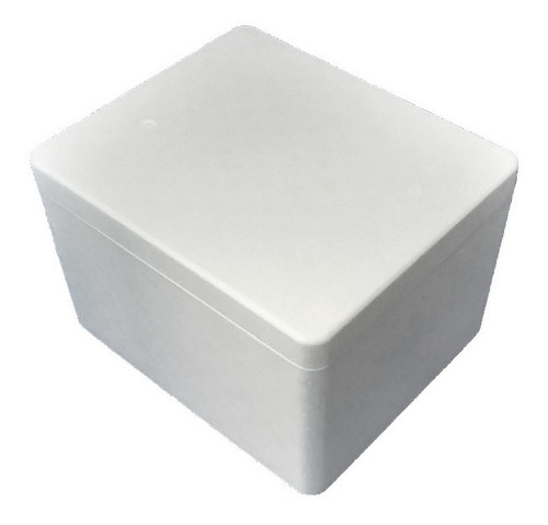 Caja / Envase Térmico Telgopor / Alimentos 37x30x22 Cm