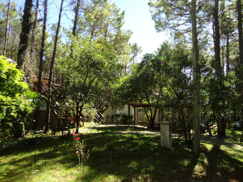 Imagen 15 de 15 de En El Bosque A 200m Del Mar, 300m Del Centro.