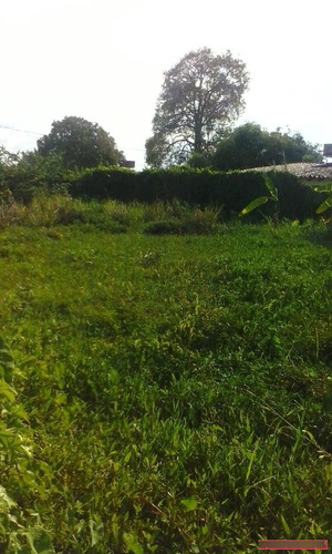 Imagen 1 de 5 de Terrenos En Venta