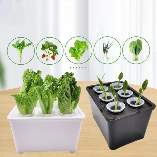 De Cultivo Hidropónico, De Jardinería De Alto Verde