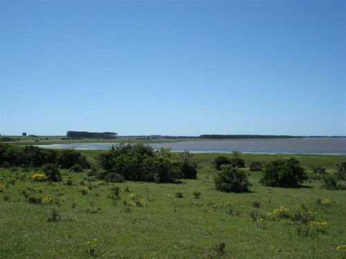 Quinta En Venta En Laguna Anastasio