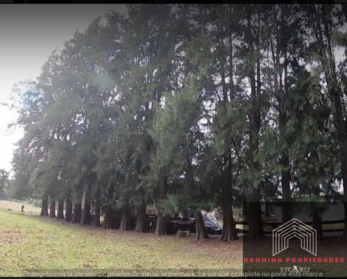 Imagen 4 de 5 de Oportunidad Inversion Chacras De Canning