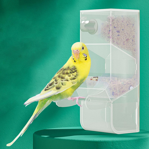Comedero Automático Para Pájaros Para Loros, Comedero,