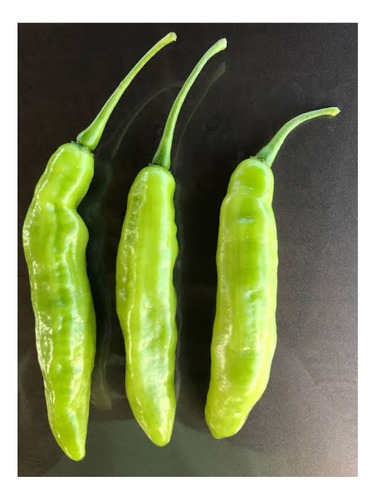 Semillas de pimiento con olor a cuerno de cabra Env con 2 g