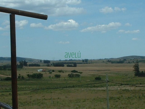 Hermosa Chacra A Ala Venta O En Alquiler !!!!! Consulte !!!!- Ref: 1378