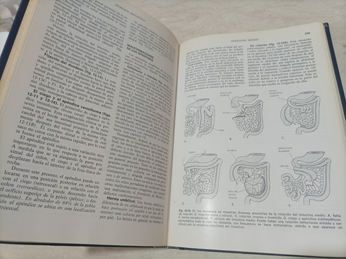 Embriología Clínica. L. Moore. 3a. Ed. (Usado)