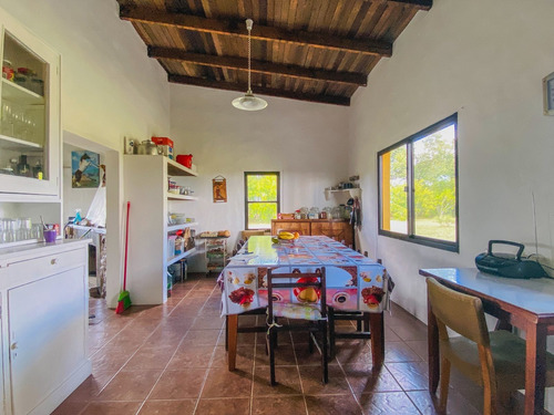 Imagen 11 de 14 de Campo En Venta De 150000m2 Ubicado En Maldonado