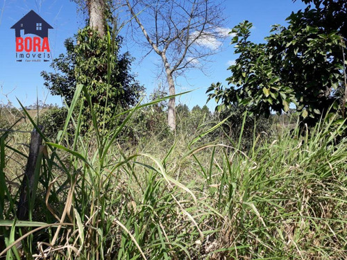 Imagem 2 de 5 de Terreno Residencial À Venda, Pirucaia, Mairiporã. - Te0173