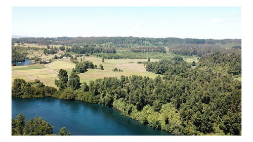 Imagen 2 de 16 de Agrícola En Venta En Lago Ranco