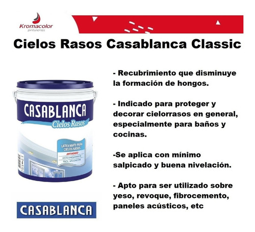 Pintura Látex Anti Hongo Cielorraso Casablanca X 20 Lts Blanco