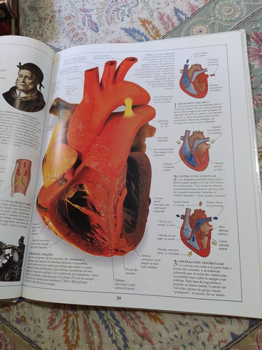 Cuerpo Humano. Nueva Enciclopedia Visual. Clarín (Usado)