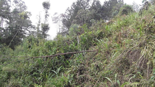 Terreno Em Chácara Recanto Verde, Cotia/sp De 0m² À Venda Por R$ 250.000,00 - Te751436