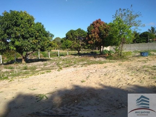 Imagem 3 de 7 de Terreno A Venda Em Pium