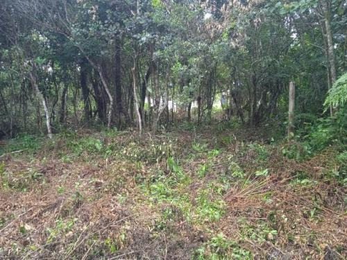 Imagem 1 de 6 de Terreno No Litoral, Aceita R$25mil De Entrada + Parcelas!!