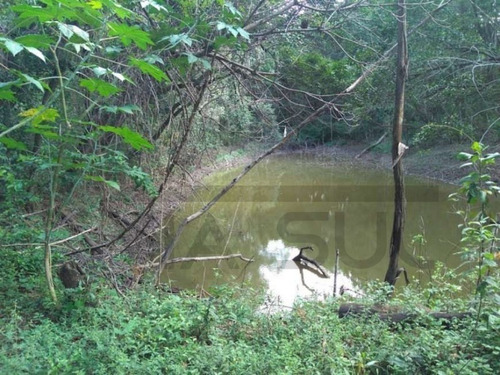 Imagem 28 de 30 de Sitio Cinematográfico À Venda Em Itu, Região Nobre De São Paulo. Ideal Para Moradia E Lazer. Excelente Oportunidade!!! - 54 - 70054601