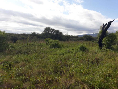 Imagen 4 de 11 de Campo De 350 Has.en San Luis , (gran Oportunidad) Dño Direct
