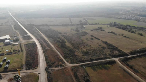 Imagen 7 de 10 de Terreno De 6 Hectareas En Cabecera Puente Rosario Victoria