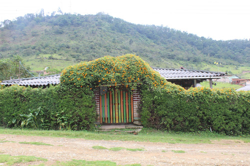Imagen 1 de 14 de Rento Hermosa Casa Campestre En Silvia, Cauca