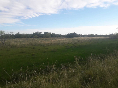Imagen 10 de 19 de 1086- Venta Campo 136 Hectareas En Estacion Solis Minas Lavalleja
