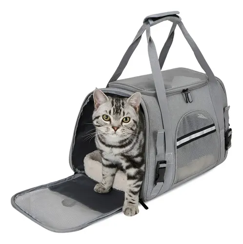 Bolso Transportador