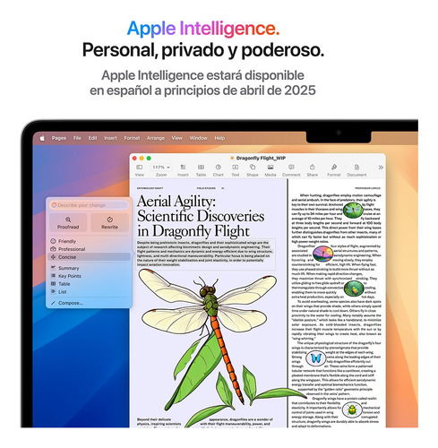 Macbook Air De 15 Pulgadas: Chip M4 512 gb Ssd - Color Plata Color Plata