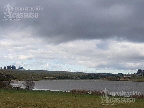 Imagen 23 de 28 de Casa - Pueblomio