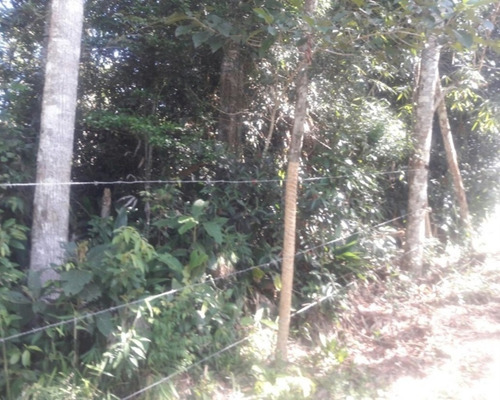 Imagem 5 de 25 de Chácara Bem Localizada; Chácara À Venda Em Juquitiba; - 96 - 32982819