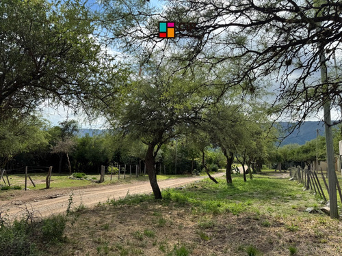 Venta De Lote Desmalezado En Carpintería