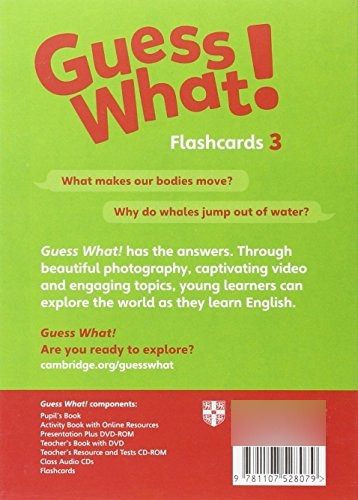Libro Guess What! Level 3 Flashcards Spanish Edition De Vvaa