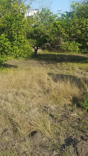 Imagen 5 de 8 de Terreno En Allende Nl