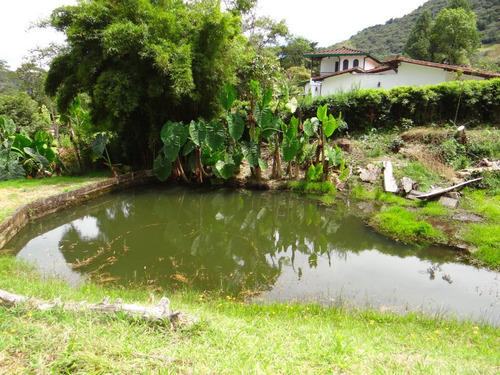 Imagen 10 de 30 de Casa Finca Campestre En Venta Vía Rionegro La Ceja Yrm 2