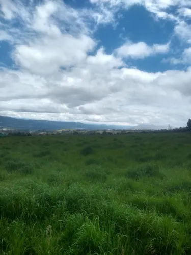 Se Vende Finca En Guasca . Cundinamarca