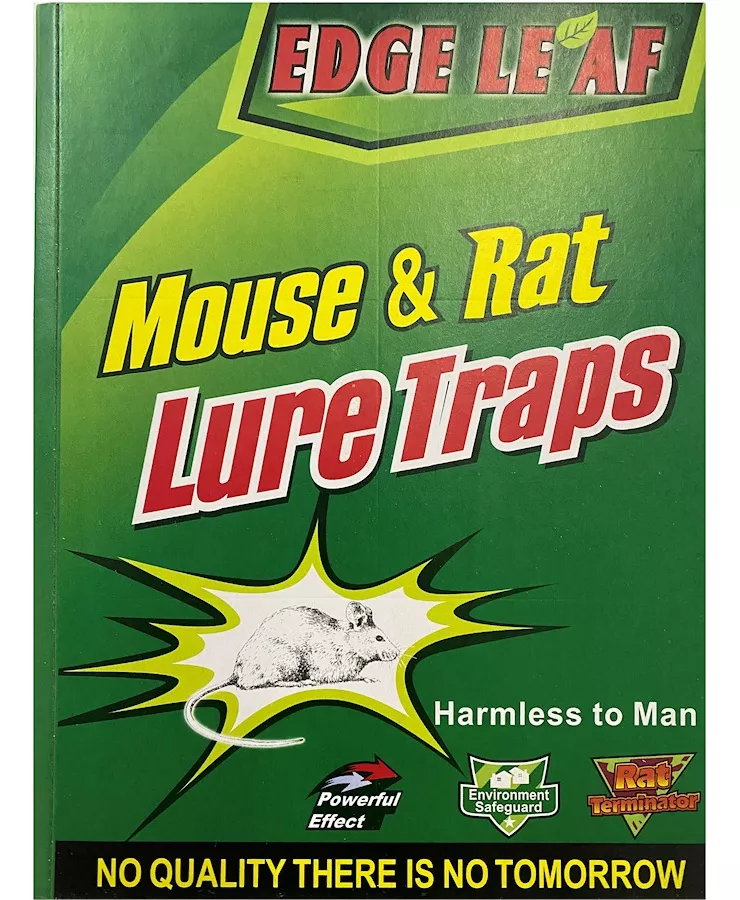 Tercera imagen para búsqueda de veneno para ratas