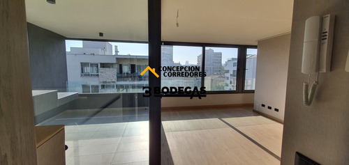 Departamento Duplex 2d+3b Providencia - Metro Fco Bilbao