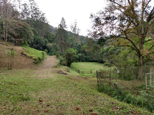 Imagem 21 de 30 de Sítio À Venda Em São Lourenço Da Serra; Sitio Com Piscina À Venda Em São Lourenço Da Serra Sp - 226 - 32982509