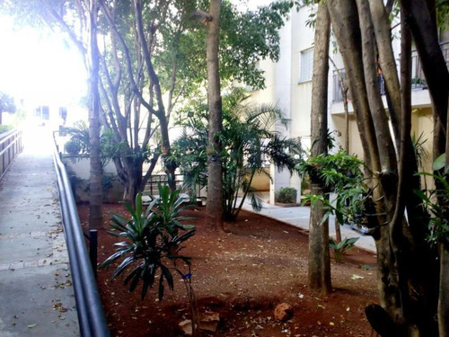 Imagem 10 de 10 de Apartamento Para Venda, 3 Dormitórios, Piqueri - São Paulo - 936