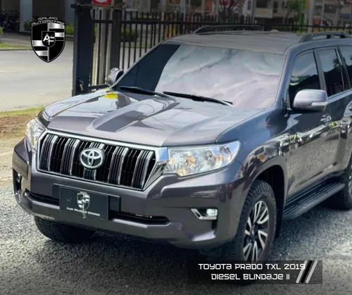Toyota Prado 3.0 Tx-l Fl 2
