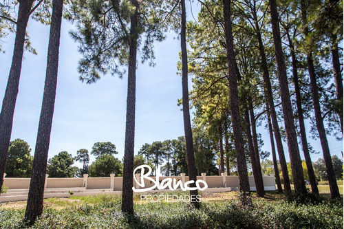 PINARES GOLF & COUNTRY CLUB| LOTES EN EXALTACIÓN DE LA CRUZ!