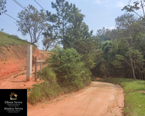Imagem 18 de 27 de Terreno No Bairro Lagoa Das Lontras Em Miguel Pereira-rj - Te00075 - 70108417