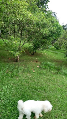 Imagem 29 de 30 de Chácara À Venda Em Juquitiba- Sp - 437 - 70366634