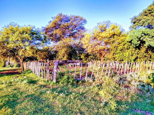 Imagen 18 de 19 de Excelente Campo En Chuchiras, San Javier