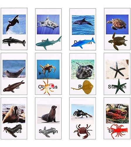 12 Figuras De Animales Del Mar Del Océano Con 12 Tarjetas .