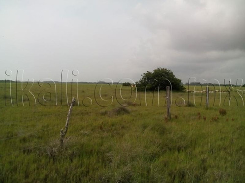 Imagen 3 de 6 de Terreno Industrial En Venta La Calzada
